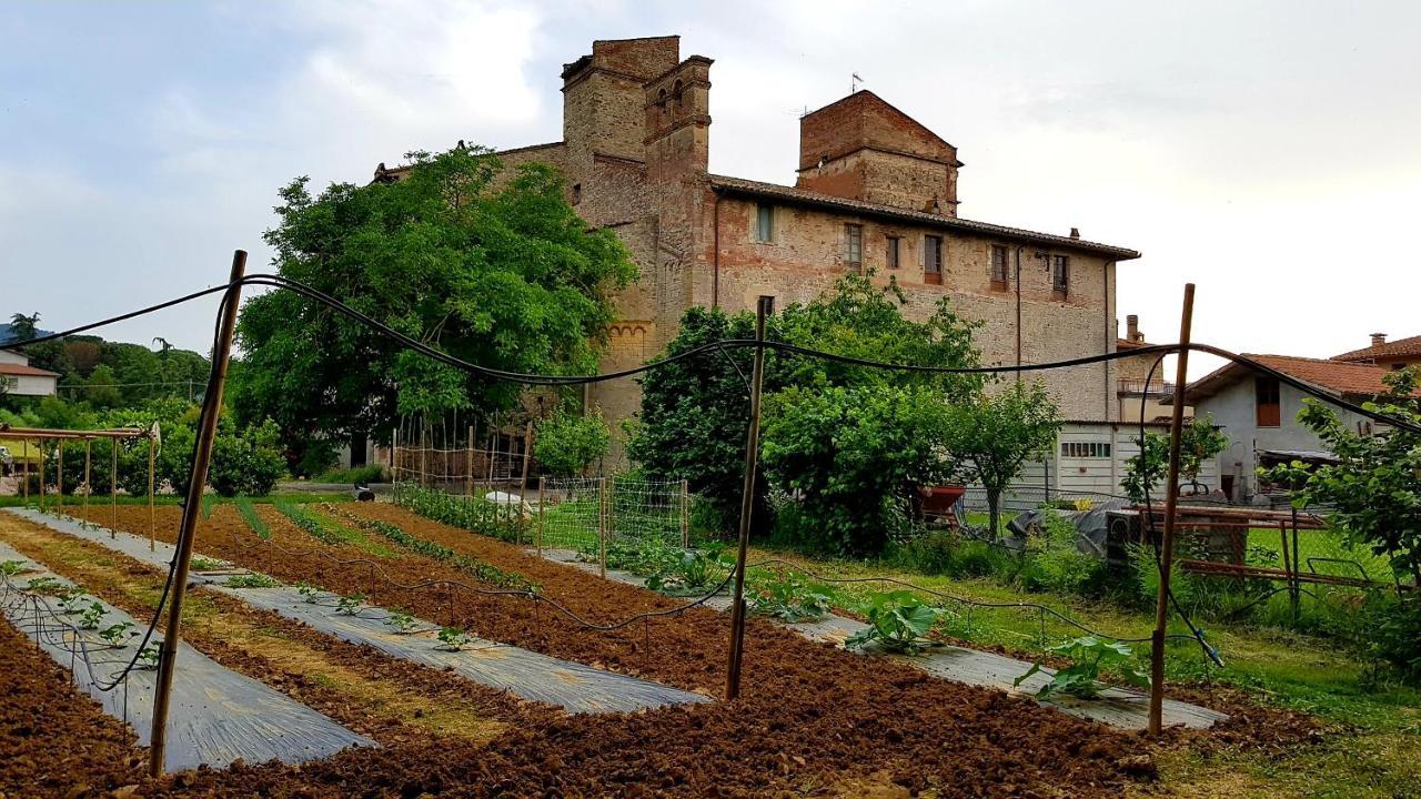 Agriturismo Abbazia Sette Frati A Casa Di Sara Pietrafitta  Eksteriør bilde